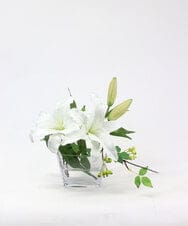 TTNTA90200 EMILIO ROBBA(エミリオ ロバ) カサブランカ2L その他