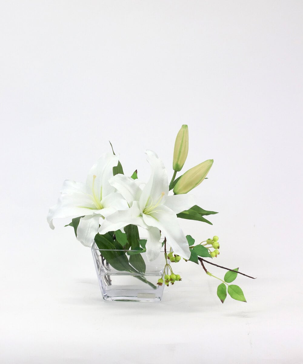 TTNTA90200 EMILIO ROBBA(エミリオ ロバ) カサブランカ2L その他