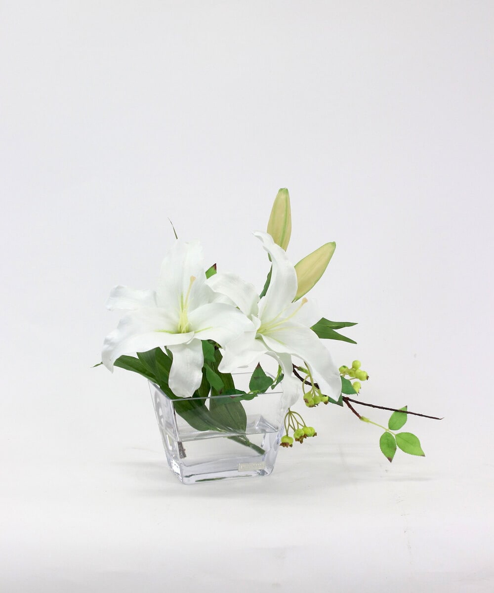 TTNTA90200 EMILIO ROBBA(エミリオ ロバ) カサブランカ2L その他