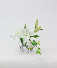 TTNTA90200 EMILIO ROBBA(エミリオ ロバ) カサブランカ2L その他