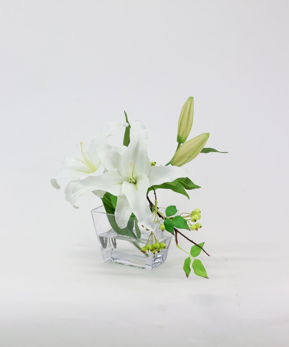 TTNTA90200 EMILIO ROBBA(エミリオ ロバ) カサブランカ2L その他