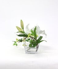 TTNTA90200 EMILIO ROBBA(エミリオ ロバ) カサブランカ2L その他