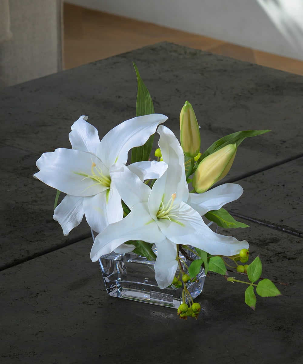 TTNTA90200 EMILIO ROBBA カサブランカ2L