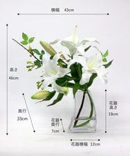 TTNTA92250 EMILIO ROBBA(エミリオ ロバ) カサブランカ3L その他