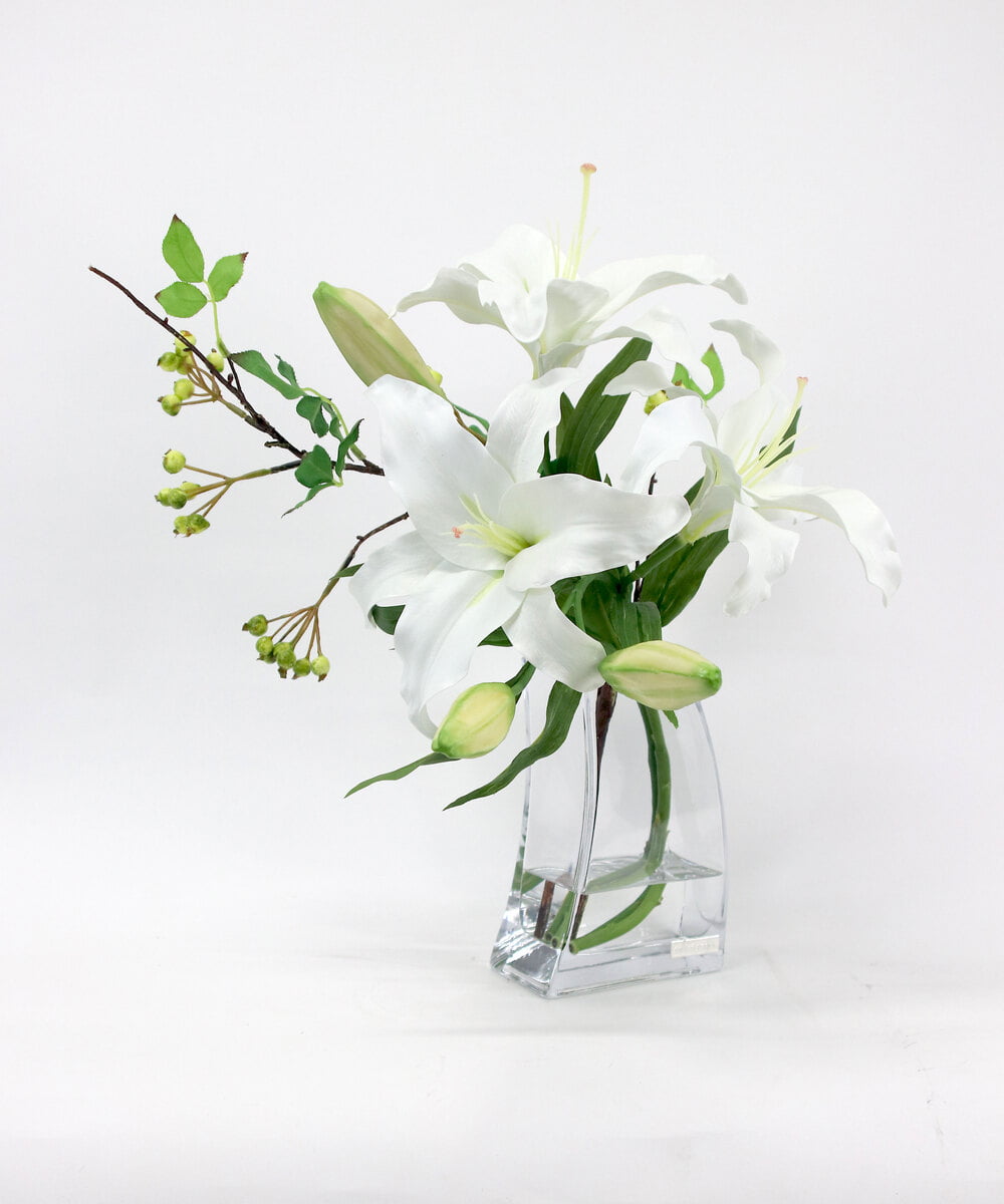 TTNTA92250 EMILIO ROBBA(エミリオ ロバ) カサブランカ3L その他