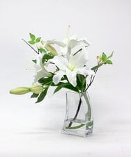 TTNTA92250 EMILIO ROBBA(エミリオ ロバ) カサブランカ3L その他