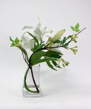 TTNTA92250 EMILIO ROBBA(エミリオ ロバ) カサブランカ3L その他