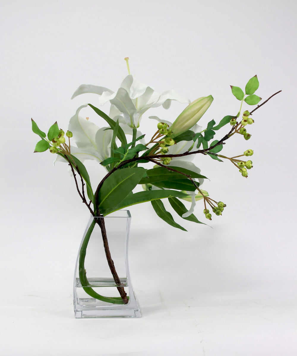 TTNTA92250 EMILIO ROBBA(エミリオ ロバ) カサブランカ3L その他