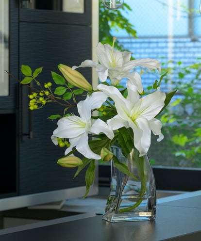 TTNTA92250  カサブランカ3L