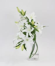 TTNTA93450 EMILIO ROBBA(エミリオ ロバ) カサブランカ5L その他