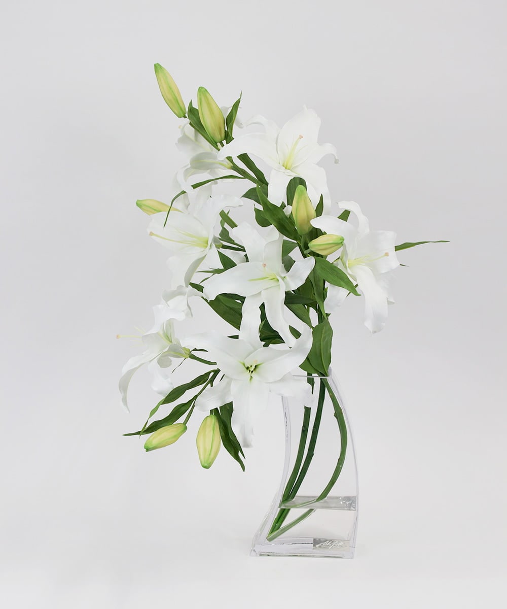 TTNTA93450 EMILIO ROBBA(エミリオ ロバ) カサブランカ5L その他