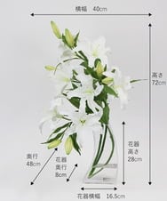 TTNTA93450 EMILIO ROBBA(エミリオ ロバ) カサブランカ5L その他