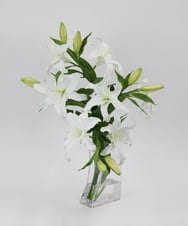 TTNTA93450 EMILIO ROBBA(エミリオ ロバ) カサブランカ5L その他