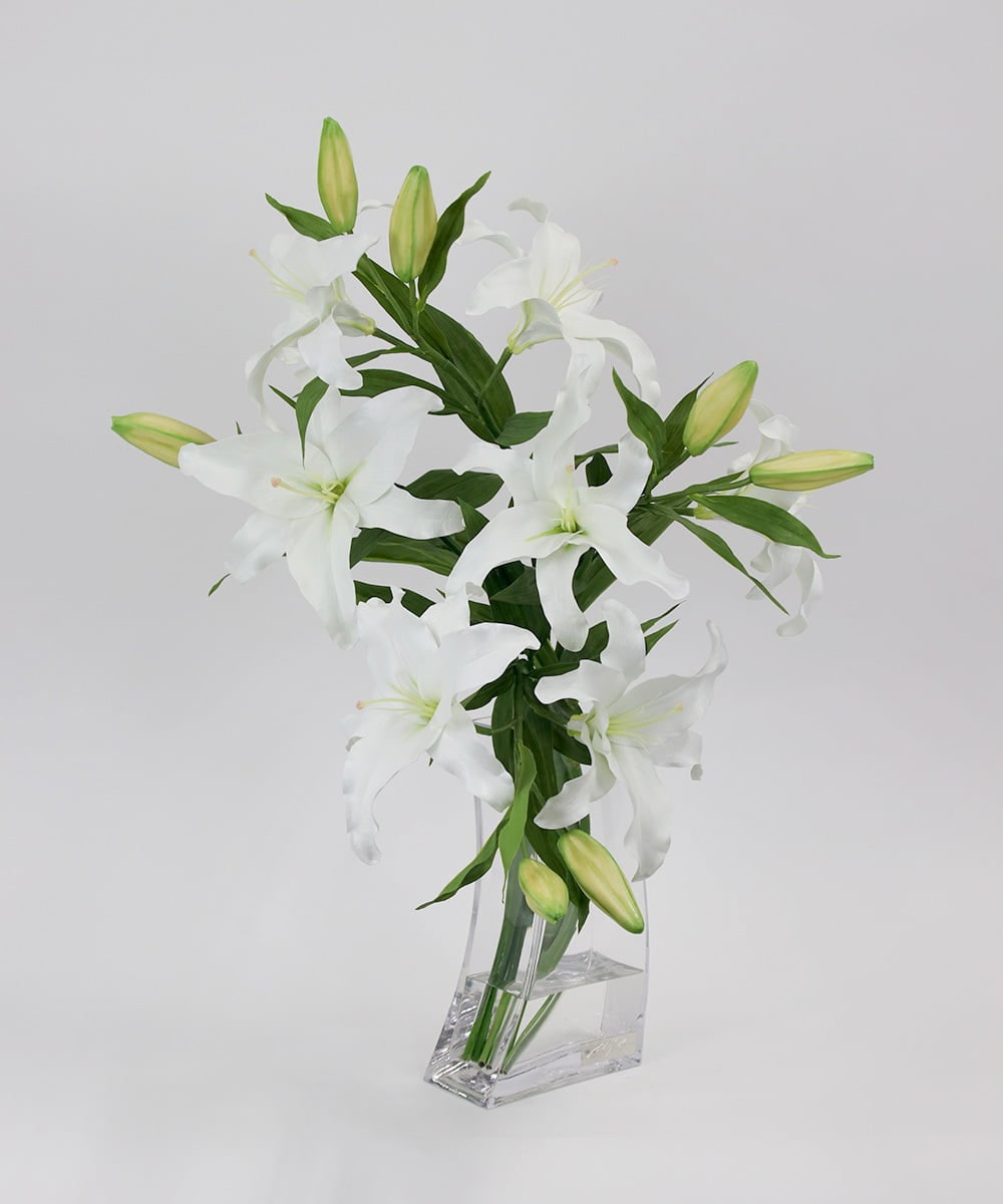 TTNTA93450 EMILIO ROBBA(エミリオ ロバ) カサブランカ5L その他