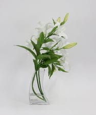 TTNTA93450 EMILIO ROBBA(エミリオ ロバ) カサブランカ5L その他