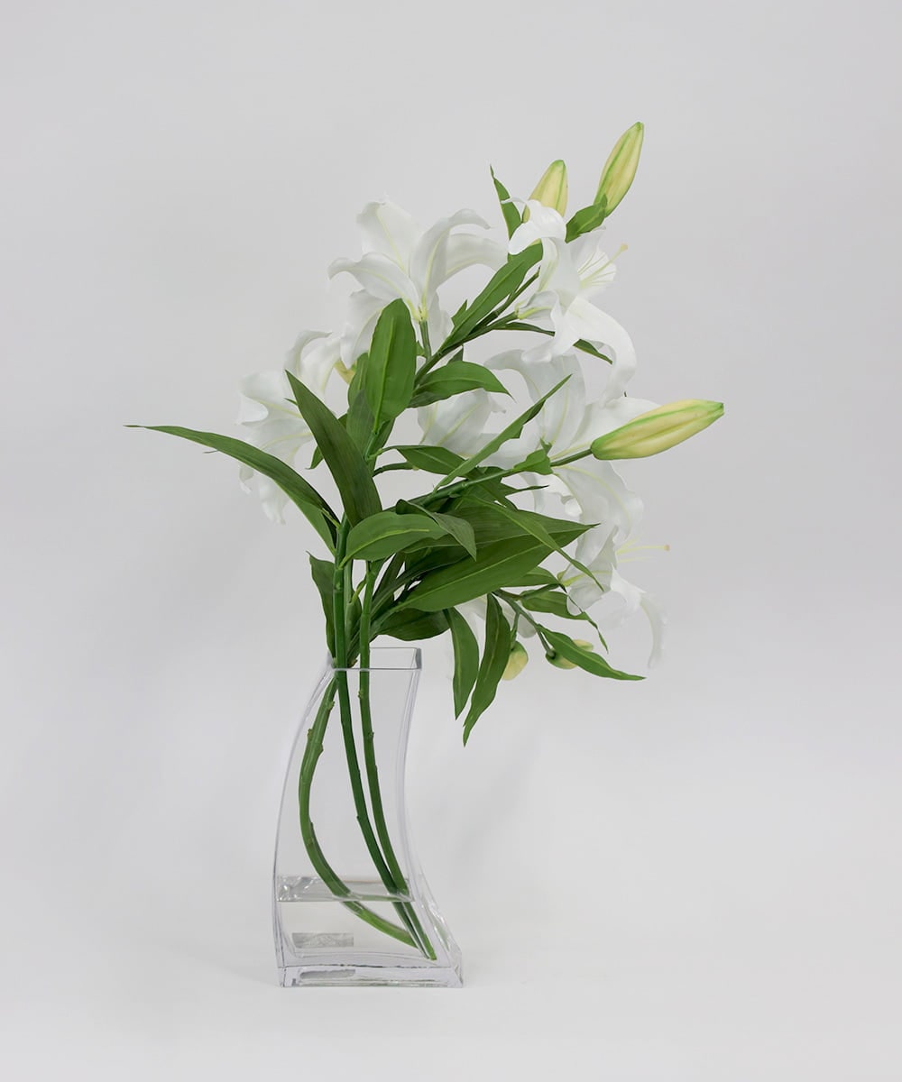 TTNTA93450 EMILIO ROBBA(エミリオ ロバ) カサブランカ5L その他