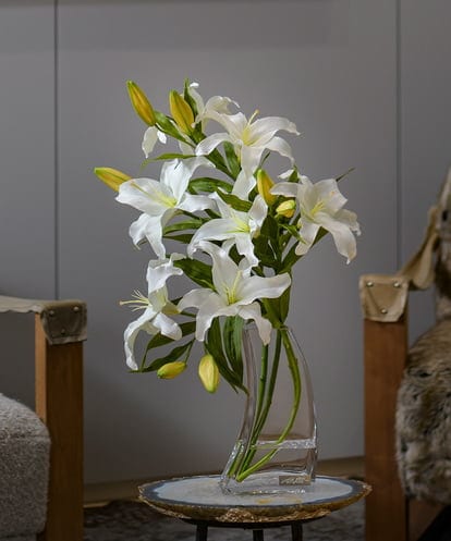 TTNTA93450 EMILIO ROBBA カサブランカ5L