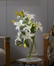 TTNTA93450 EMILIO ROBBA(エミリオ ロバ) カサブランカ5L その他