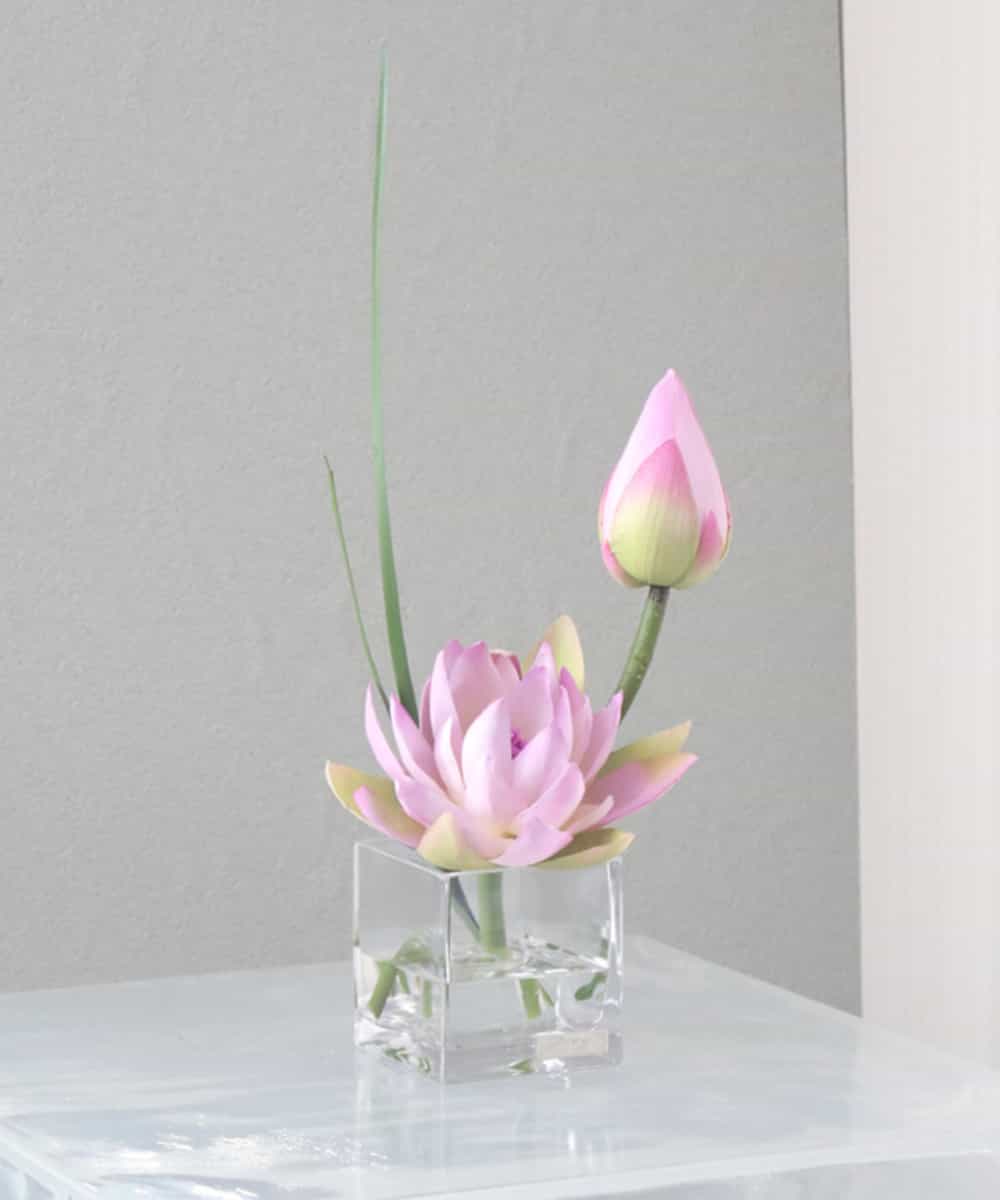 Emilio Robba エミリオ ロバ ロータスs P イトキンオンラインストア