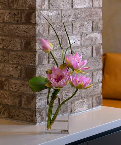 TTNTP21200 EMILIO ROBBA ロータスpk-4L