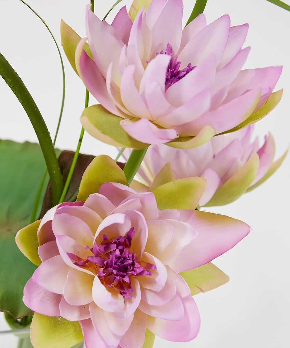 TTNTP21200 EMILIO ROBBA(エミリオ ロバ) ロータスpk-4L その他