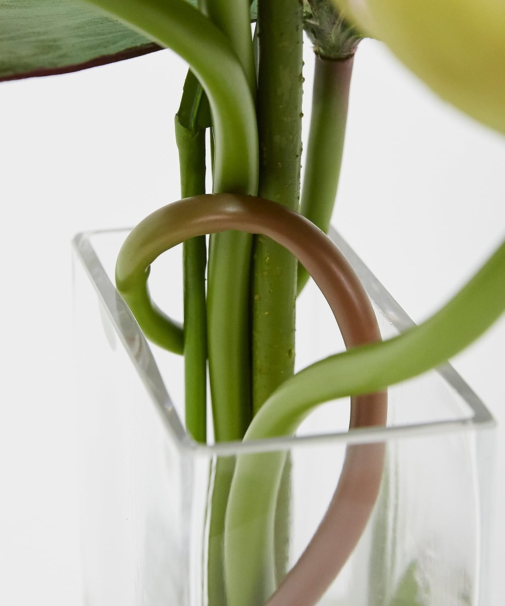 TTNTP21200 EMILIO ROBBA(エミリオ ロバ) ロータスpk-4L その他