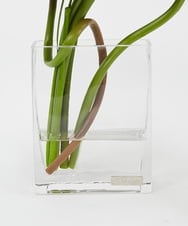 TTNTP21200 EMILIO ROBBA(エミリオ ロバ) ロータスpk-4L その他