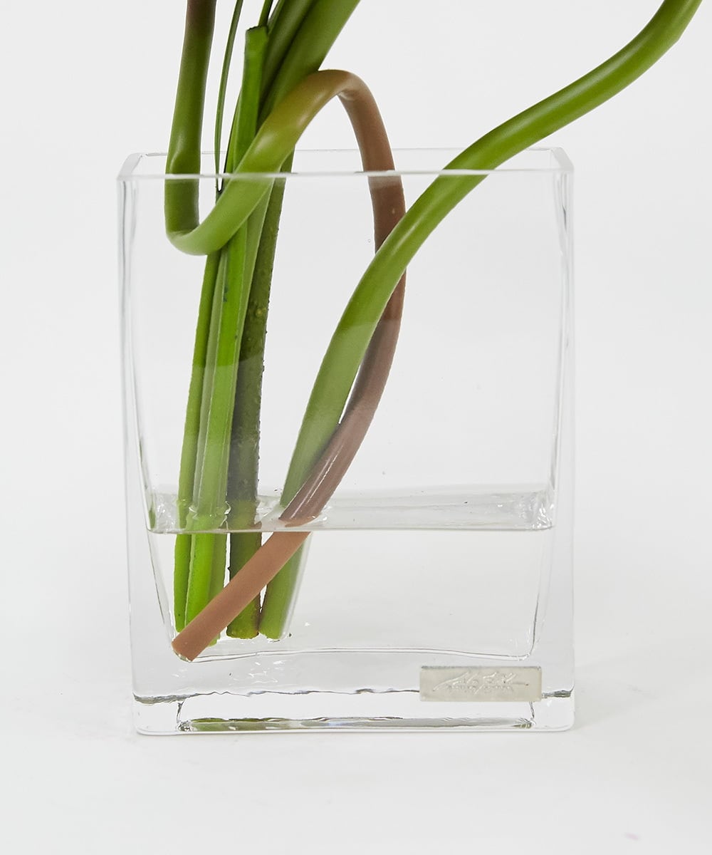 TTNTP21200 EMILIO ROBBA(エミリオ ロバ) ロータスpk-4L その他