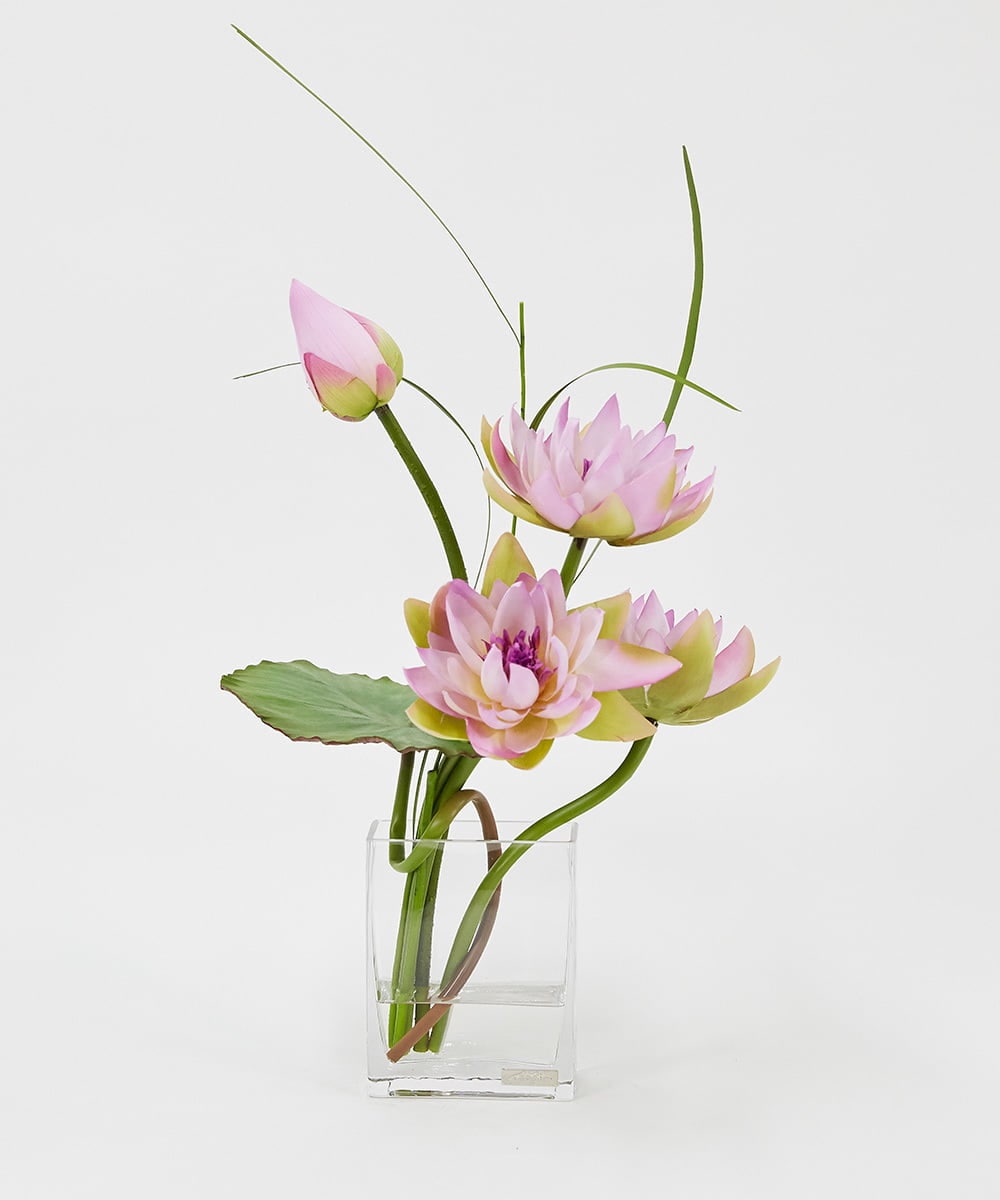 TTNTP21200 EMILIO ROBBA(エミリオ ロバ) ロータスpk-4L その他