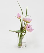 TTNTP21200 EMILIO ROBBA(エミリオ ロバ) ロータスpk-4L その他