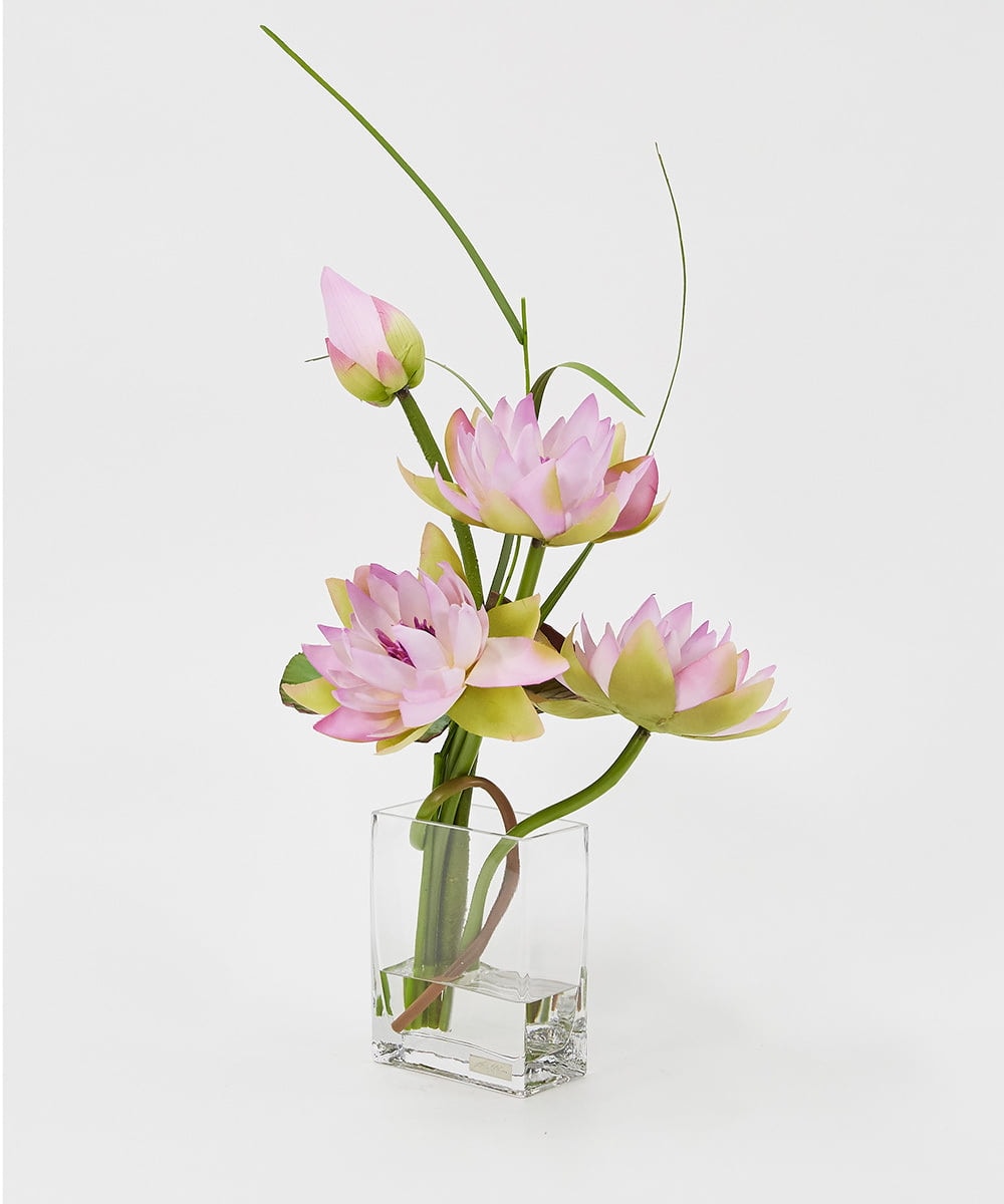 TTNTP21200 EMILIO ROBBA(エミリオ ロバ) ロータスpk-4L その他