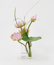 TTNTP21200 EMILIO ROBBA(エミリオ ロバ) ロータスpk-4L その他