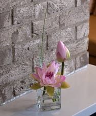 TTNTS20100 EMILIO ROBBA(エミリオ ロバ) ロータスpk-M その他