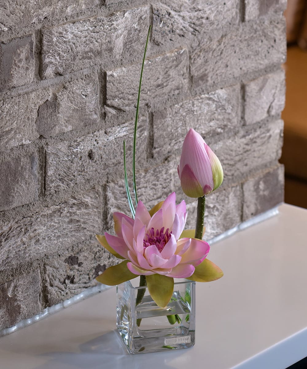 TTNTS20100 EMILIO ROBBA(エミリオ ロバ) ロータスpk-M その他