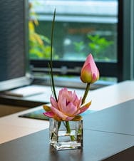 TTNTS20100 EMILIO ROBBA(エミリオ ロバ) ロータスpk-M その他