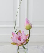 TTNTS20100 EMILIO ROBBA(エミリオ ロバ) ロータスpk-M その他