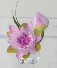 TTNTS20100 EMILIO ROBBA(エミリオ ロバ) ロータスpk-M その他