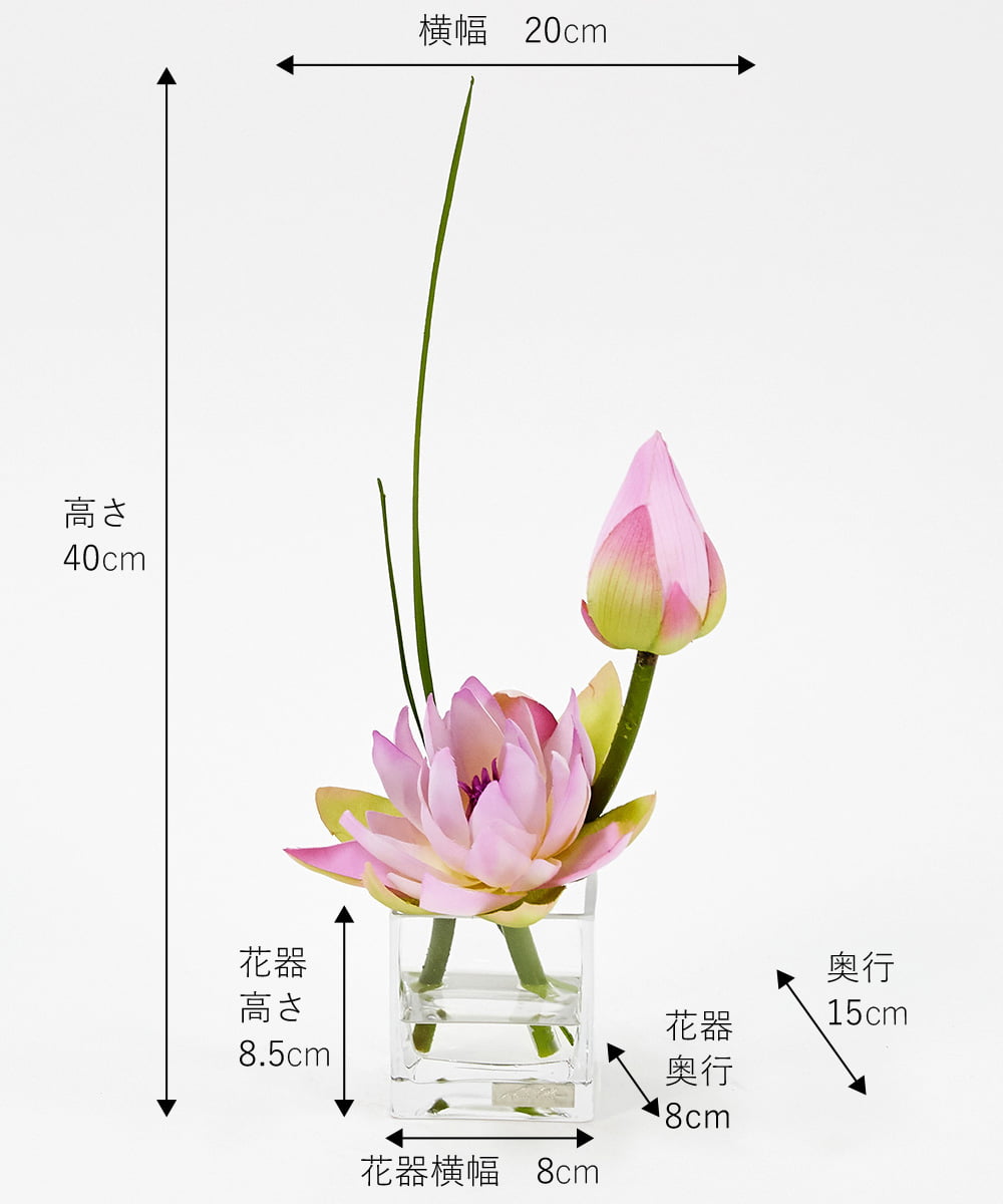 TTNTS20100 EMILIO ROBBA(エミリオ ロバ) ロータスpk-M その他