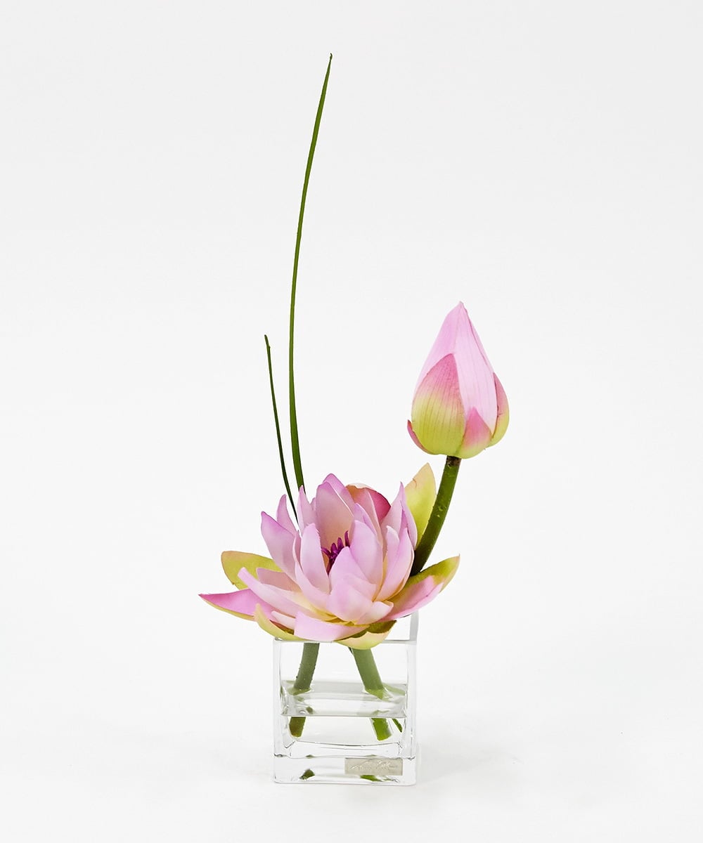 TTNTS20100 EMILIO ROBBA(エミリオ ロバ) ロータスpk-M その他