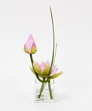 TTNTS20100 EMILIO ROBBA(エミリオ ロバ) ロータスpk-M その他