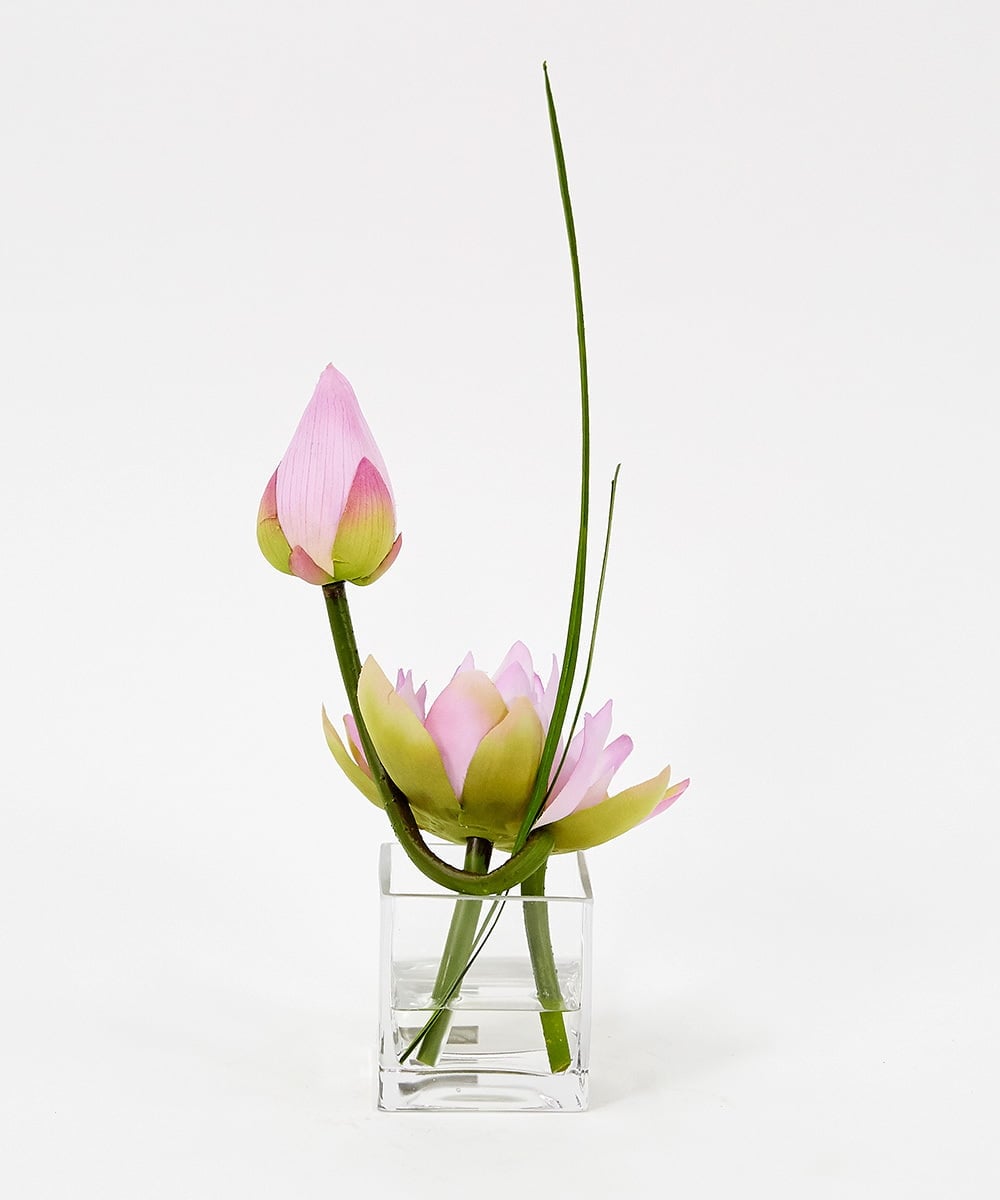 TTNTS20100 EMILIO ROBBA(エミリオ ロバ) ロータスpk-M その他