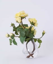 TTNTS34200 EMILIO ROBBA(エミリオ ロバ) プリマローズye-L その他