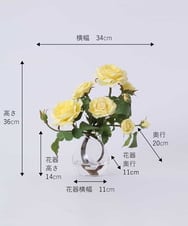 TTNTS34200 EMILIO ROBBA(エミリオ ロバ) プリマローズye-L その他