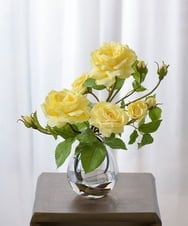 TTNTS34200 EMILIO ROBBA(エミリオ ロバ) プリマローズye-L その他