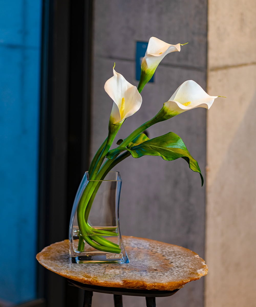 TTNTS41200 EMILIO ROBBA(エミリオ ロバ) カラー2L その他