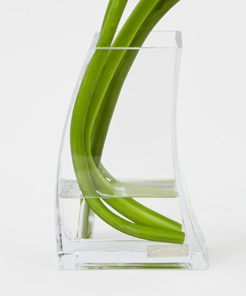 TTNTS41200 EMILIO ROBBA(エミリオ ロバ) カラー2L その他