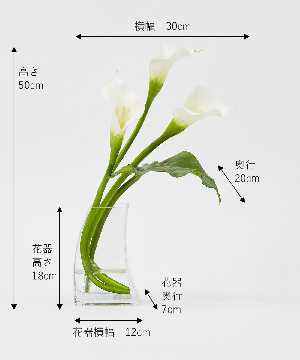 TTNTS41200 EMILIO ROBBA(エミリオ ロバ) カラー2L その他