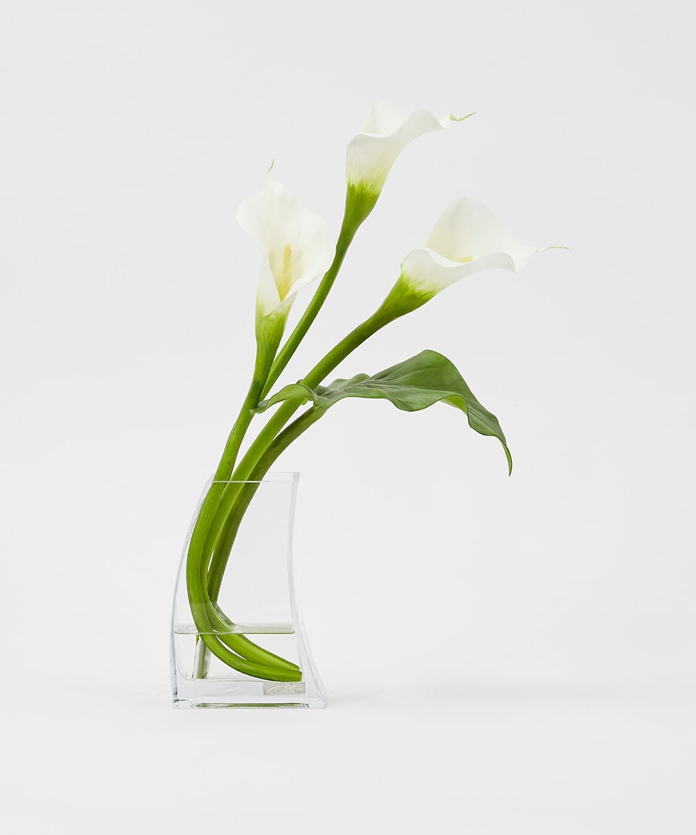 TTNTS41200 EMILIO ROBBA(エミリオ ロバ) カラー2L その他