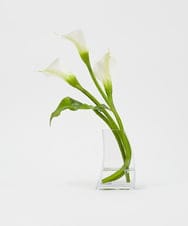 TTNTS41200 EMILIO ROBBA(エミリオ ロバ) カラー2L その他