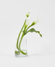 TTNTS41200 EMILIO ROBBA(エミリオ ロバ) カラー2L その他